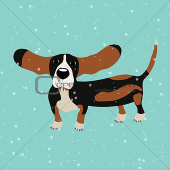 Dog Basset Hound under falling snow on the blue background