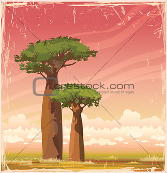 Madagascar baobabs and sunset sky.