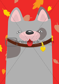A mongrel in the collar under the autumn leaf fall