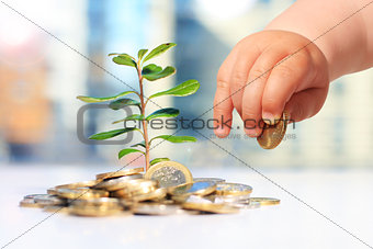 Growing plants and coins