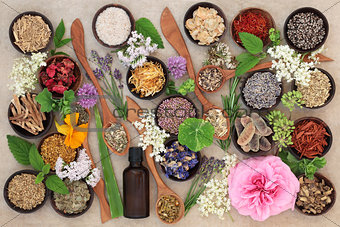 Flower and Herb Selection