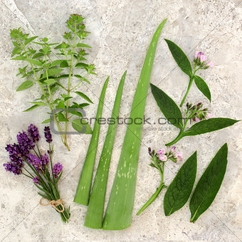 Fresh Herbs for Skin Care