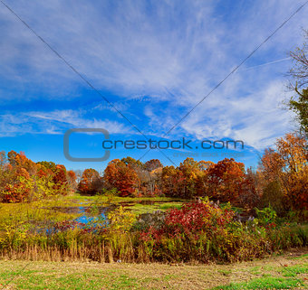 Colorful autumn landscape in the village. Ukraine, Europe.