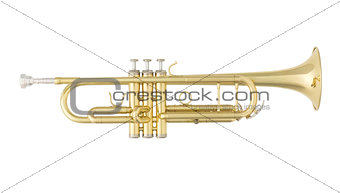 Golden Trumpet Isolated on White Background