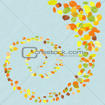 Swirl of maple leaves in the rain