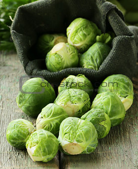 Fresh organic cabbage. Brussels sprouts. Healthy eating