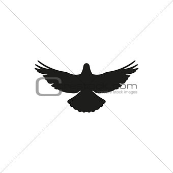 flying bird silhouette on white background style
