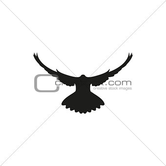 dove silhouette on white background, vector