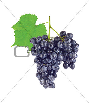 Cluster fresh juicy organic grapes with green