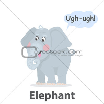 Elephant vector illistration