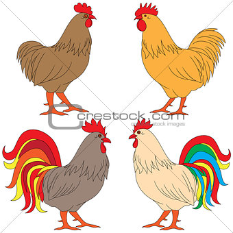 Set of four multicolor Roosters