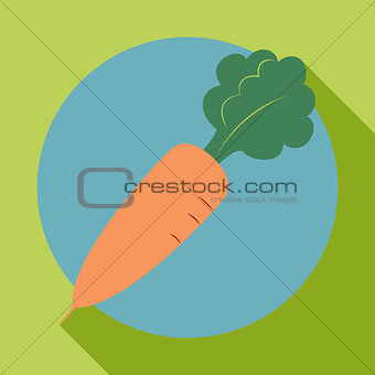 Carrot icon in the style of a flat design
