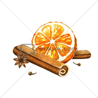 Slice of orange, cinnamon and star anise. Watercolor illustratio