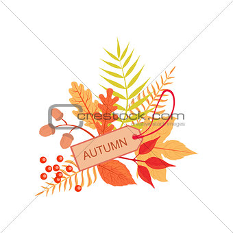 Set Of Orange Leaves With The Tag As Autumn Attribute