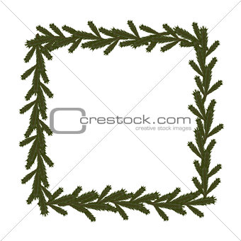 Christmas coniferous frame