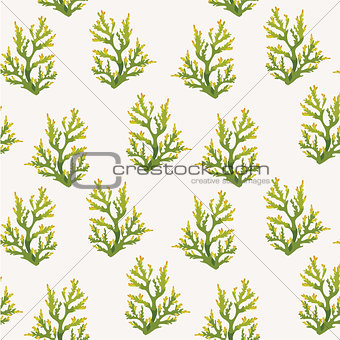 Seamless pattern with corals.