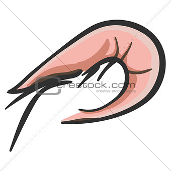 shrimp hand illustration