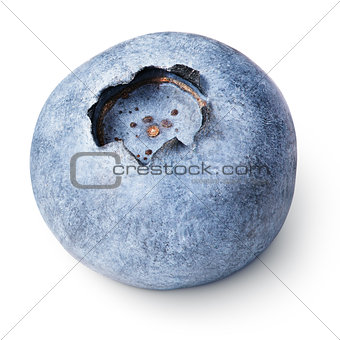 Blueberry berry isolated on white