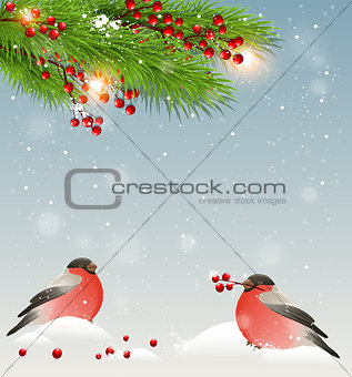 Two bullfinches and green fir