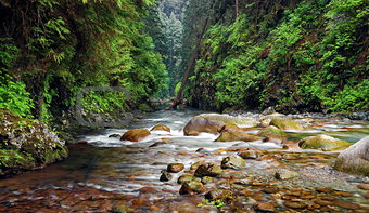 Lynn Canyon Creek