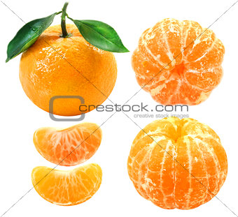 Photos group of tangerines