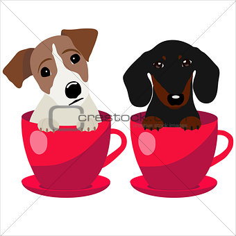 Jack Russell Terrier and Dachshund dog in red teacup, illustration, set for baby fashion