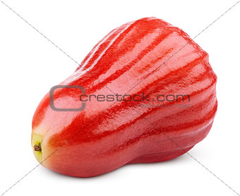 Rose apple or chomphu isolated on white