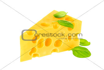 Triangle of cheese isolated on a white background.