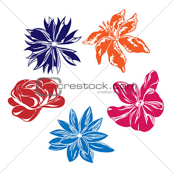 Five multi-colored vector flowers