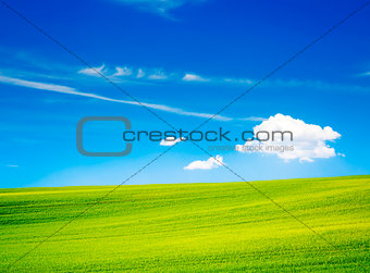 Landscape with Green Field and Blue Sky in Summer