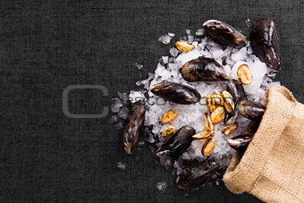Luxurious seafood background.