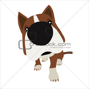 Dog with large head and nose. Vector Illustration