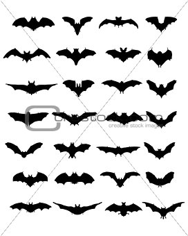 silhouettes of bats