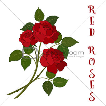 Flowers Bouquet, Red Roses