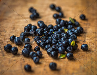 Blueberries on Wooden Background