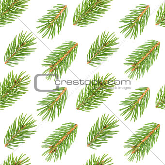 Seamless pattern of fir tree branches