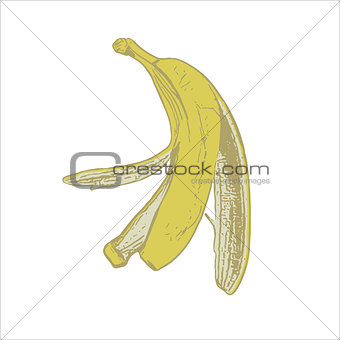skin of a banana