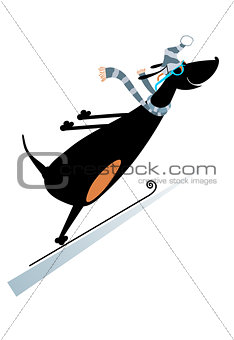 Dog a ski jumper