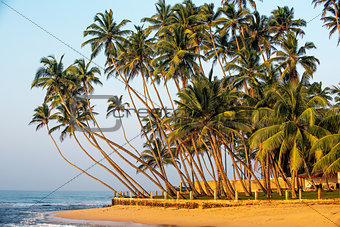 Sri Lanka: the beach in south coast of Indian ocean