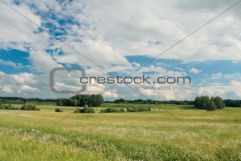 Rural scene