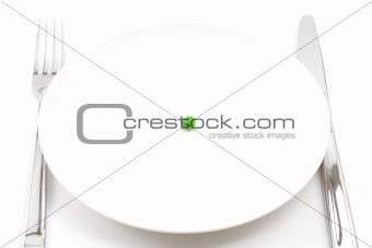 single pea on a plate