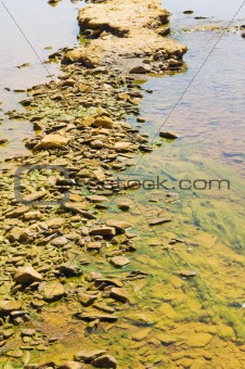 Polluted river detail