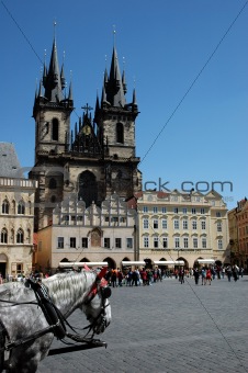 Horses in front of a church