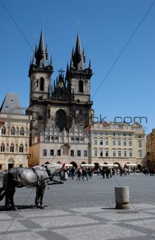 Cathedral and a horse