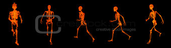 3d render walking fire skeleton by X-rays in red 