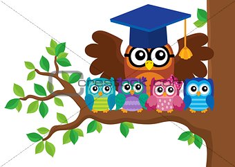 Owl teacher and owlets theme image 5