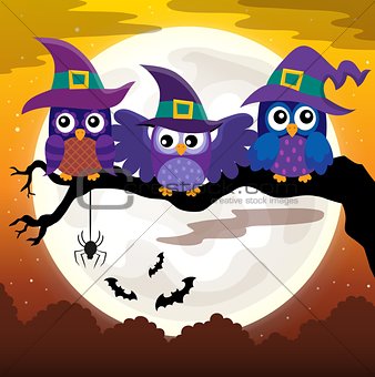 Owl witches theme image 3