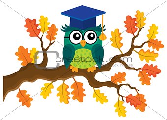 Stylized school owl theme image 8