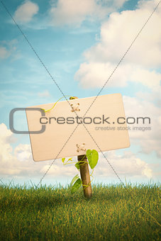 Blank Wooden Sign and Natural Background