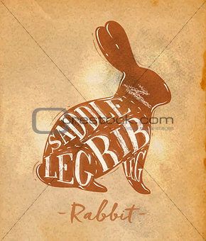 Rabbit cutting scheme craft